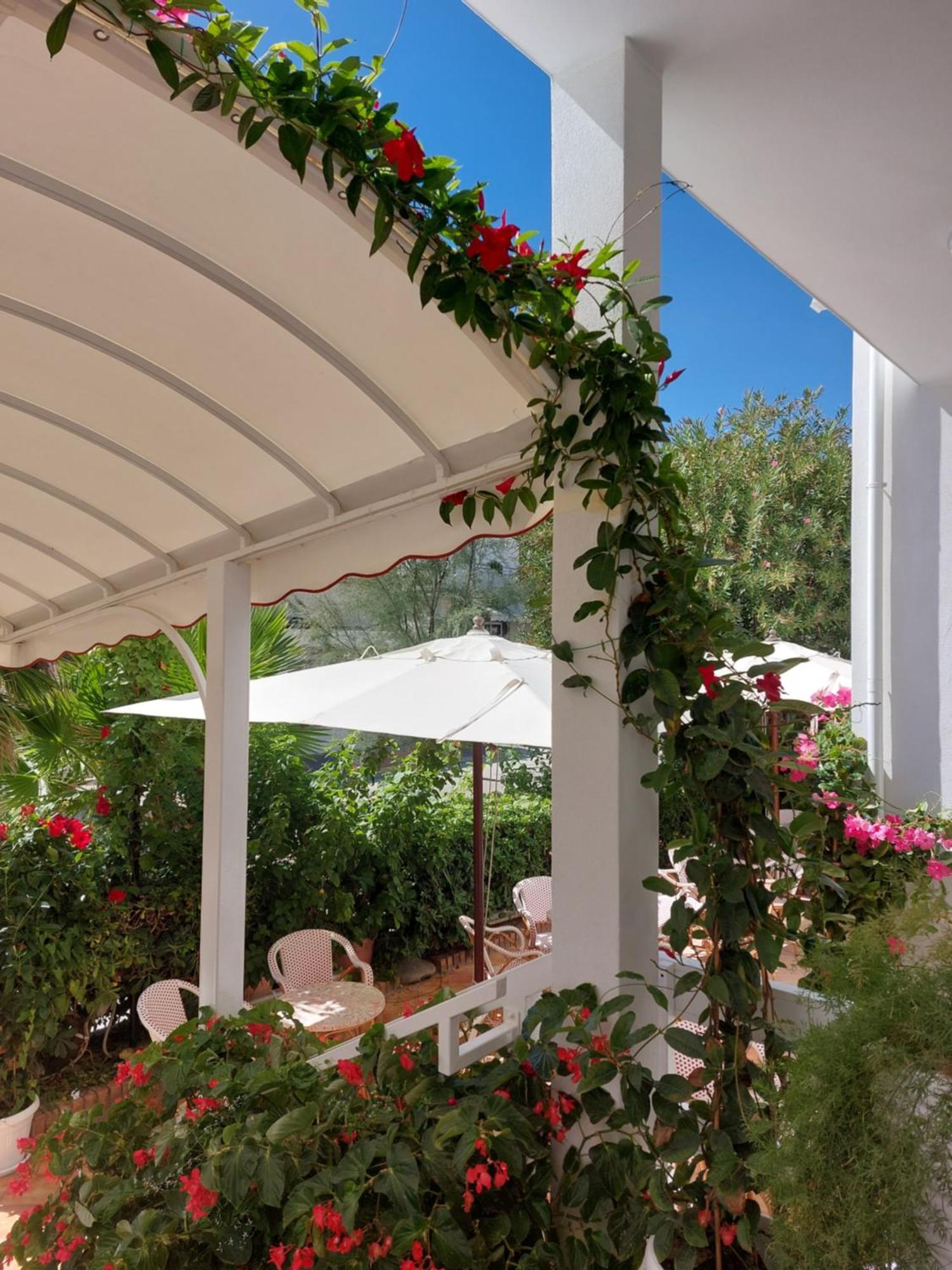 Hotel Driade Sul Mare Rimini Eksteriør bilde