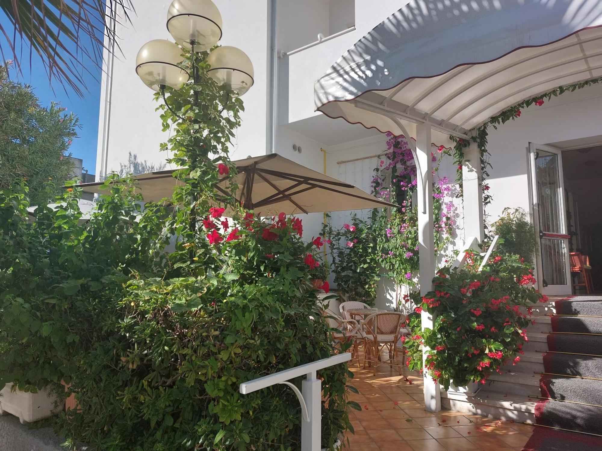 Hotel Driade Sul Mare Rimini Eksteriør bilde