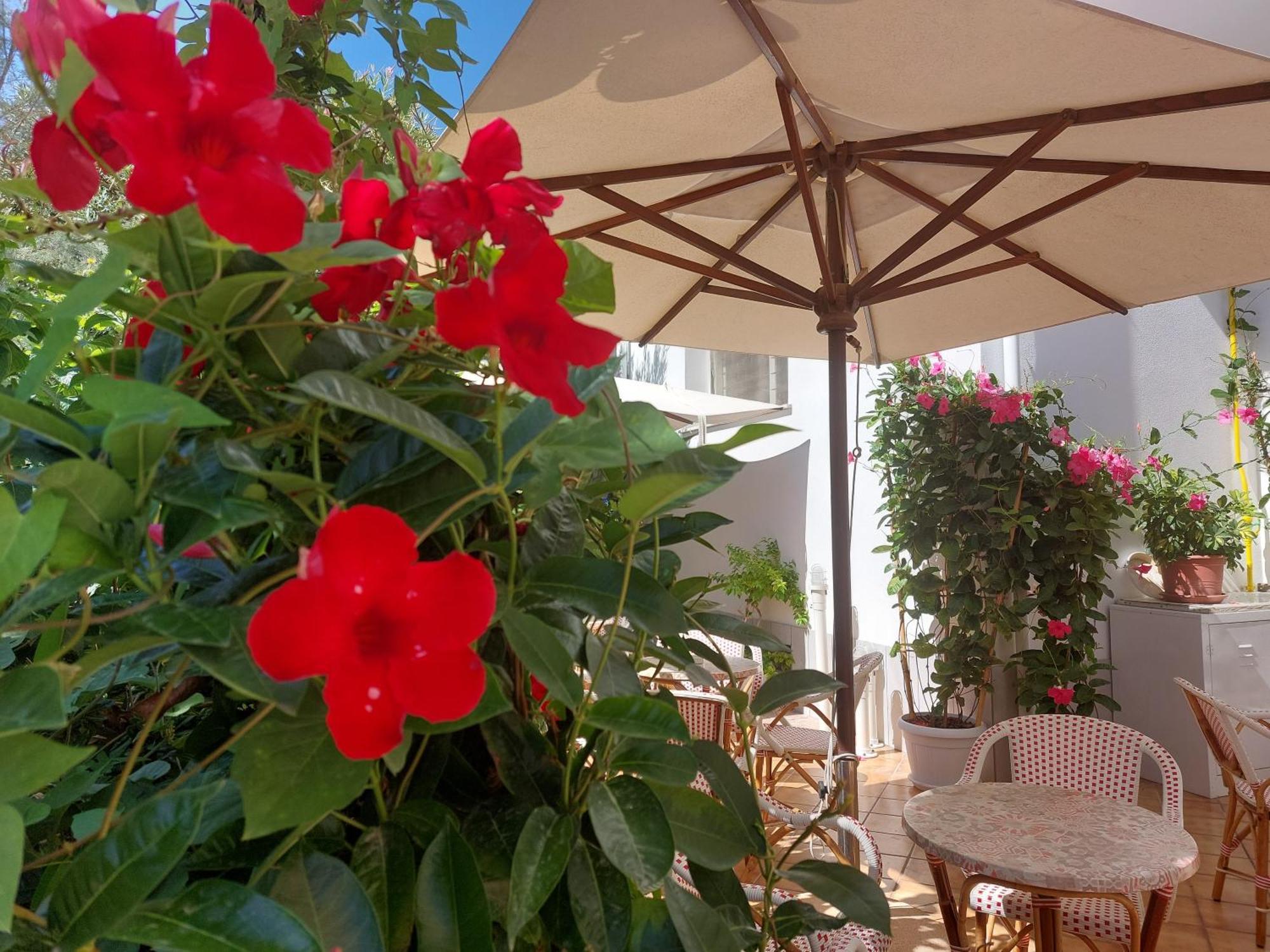 Hotel Driade Sul Mare Rimini Eksteriør bilde